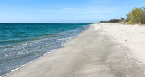 Read more about the article Sanibel Island – 5 Things to do