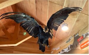 Read more about the article Puerto Chacabuco