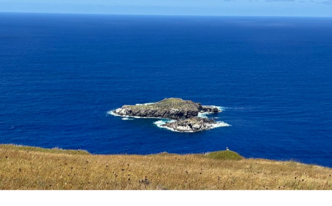 Read more about the article Rapa Nui/Easter Island – Birdman